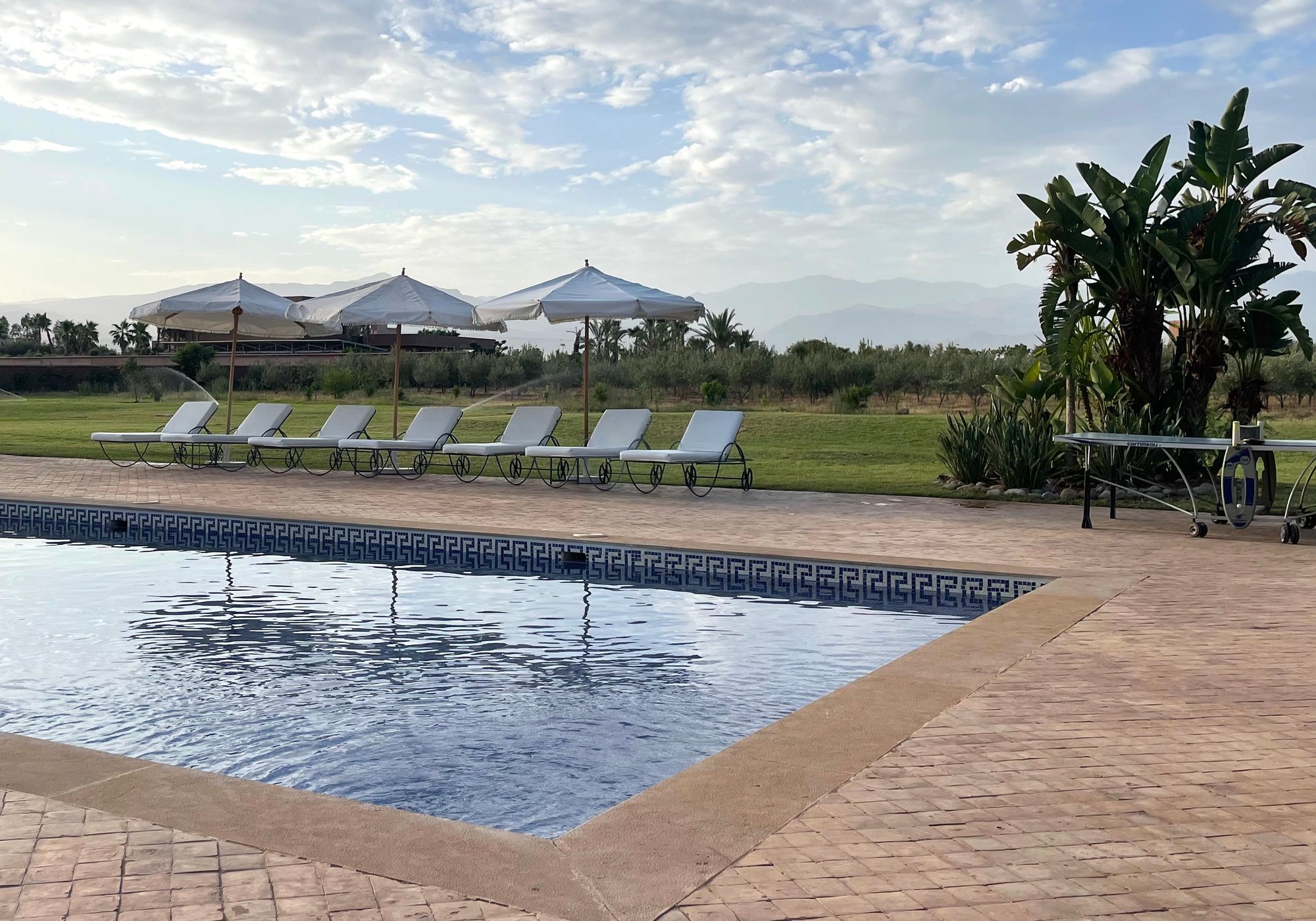 marrakech-pool