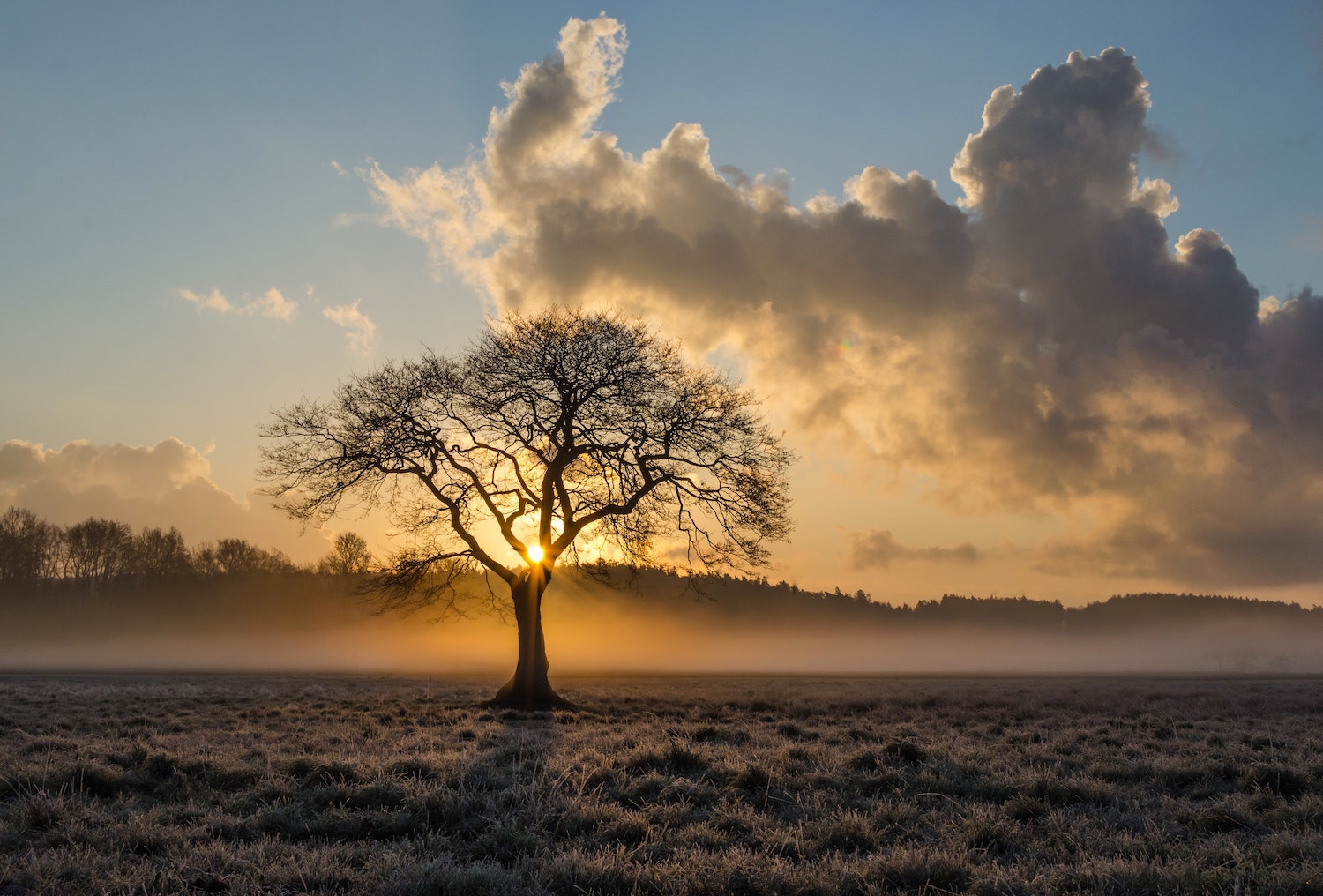 clouds-daylight-dramatic-301409